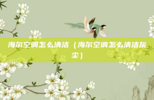 海尔空调怎么清洁（海尔空调怎么清洁灰尘）