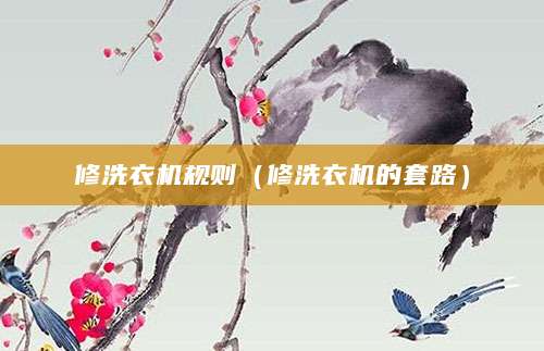 修洗衣机规则（修洗衣机的套路）