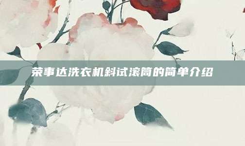 荣事达洗衣机斜试滚筒的简单介绍
