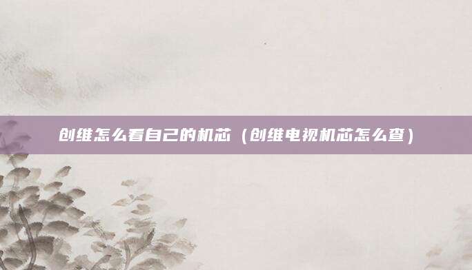 创维怎么看自己的机芯（创维电视机芯怎么查）