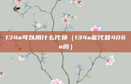 134a可以用什么代换（134a能代替406a吗）