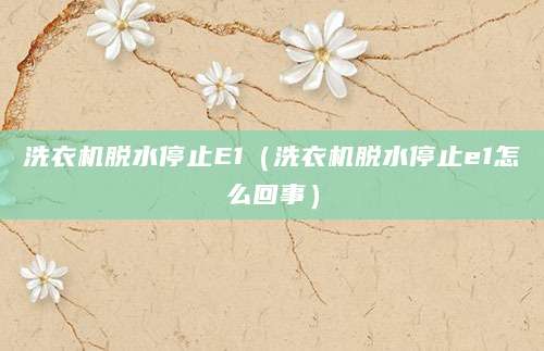 洗衣机脱水停止E1（洗衣机脱水停止e1怎么回事）