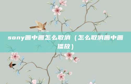 sony画中画怎么取消（怎么取消画中画播放）