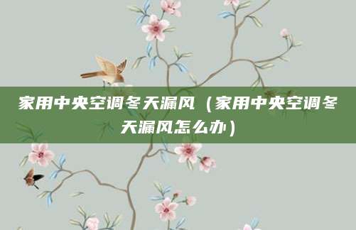 家用中央空调冬天漏风（家用中央空调冬天漏风怎么办）