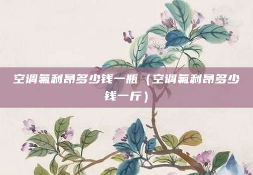 空调氟利昂多少钱一瓶（空调氟利昂多少钱一斤）
