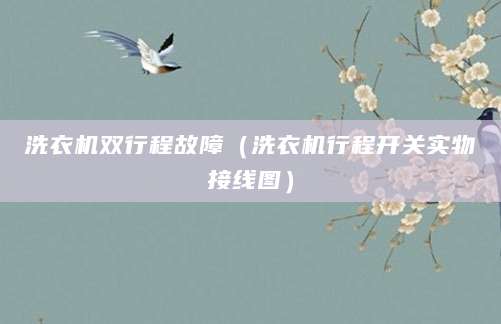洗衣机双行程故障（洗衣机行程开关实物接线图）