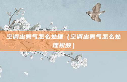 空调出雾气怎么处理（空调出雾气怎么处理视频）