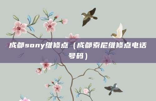 成都sony维修点（成都索尼维修点电话号码）
