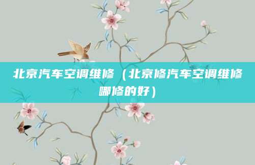 北京汽车空调维修（北京修汽车空调维修哪修的好）