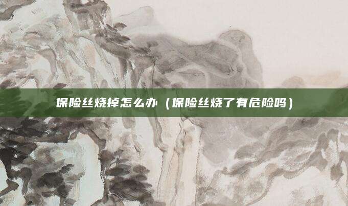 保险丝烧掉怎么办（保险丝烧了有危险吗）