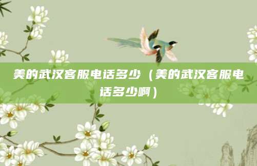 美的武汉客服电话多少（美的武汉客服电话多少啊）