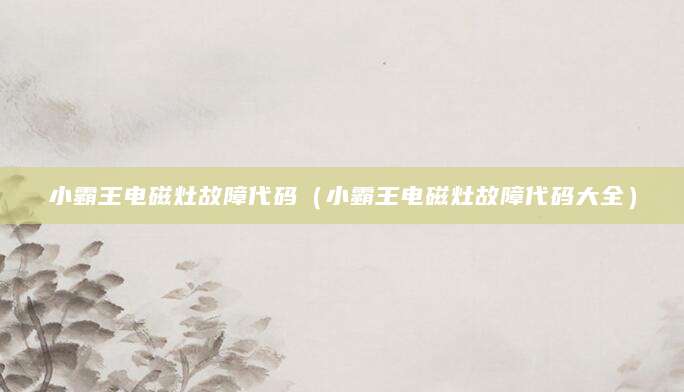 小霸王电磁灶故障代码（小霸王电磁灶故障代码大全）