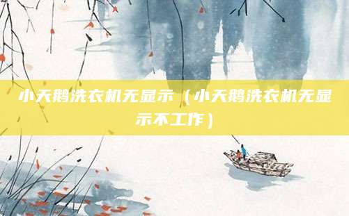 小天鹅洗衣机无显示（小天鹅洗衣机无显示不工作）