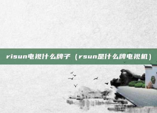 risun电视什么牌子（rsun是什么牌电视机）