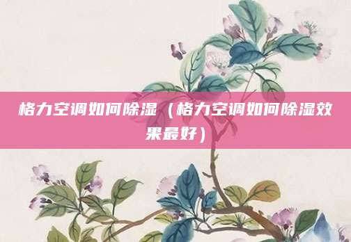 格力空调如何除湿（格力空调如何除湿效果最好）