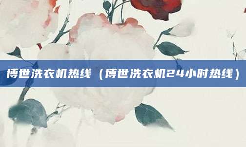 博世洗衣机热线（博世洗衣机24小时热线）