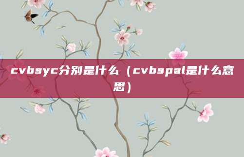 cvbsyc分别是什么（cvbspal是什么意思）