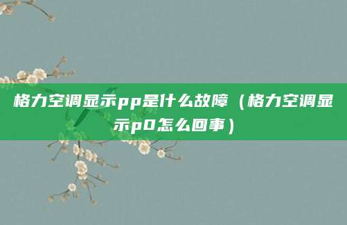 格力空调显示pp是什么故障（格力空调显示p0怎么回事）