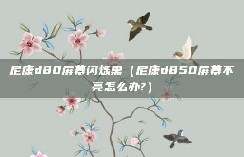 尼康d80屏幕闪烁黑(尼康d850屏幕不亮怎么办?)