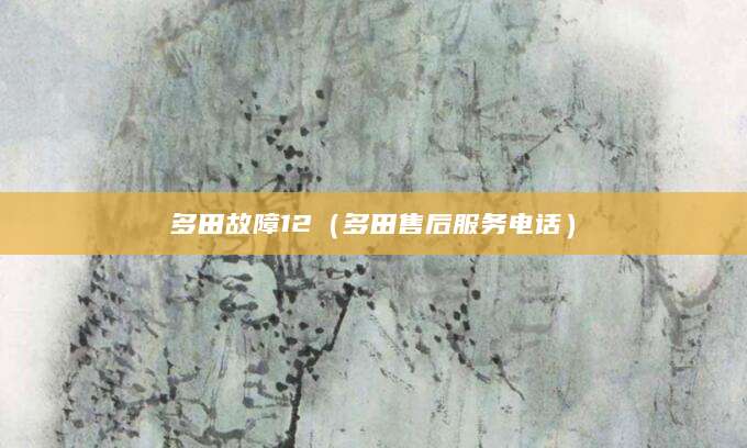 多田故障12（多田售后服务电话）