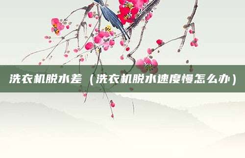 洗衣机脱水差（洗衣机脱水速度慢怎么办）