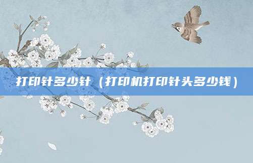 打印针多少针(打印机打印针头多少钱)