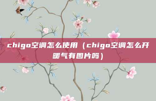 chigo空调怎么使用（chigo空调怎么开暖气有图片吗）