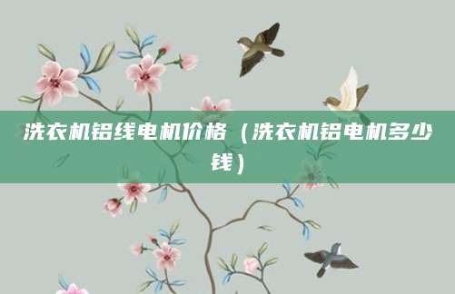 洗衣机铝线电机价格（洗衣机铝电机多少钱）
