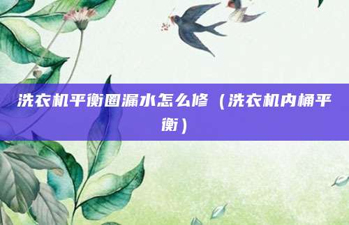 洗衣机平衡圈漏水怎么修（洗衣机内桶平衡）