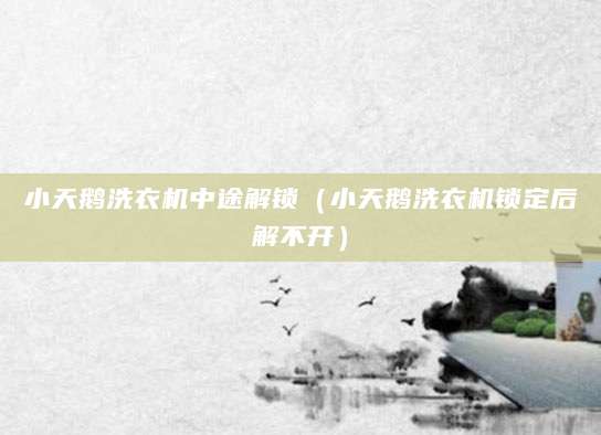 小天鹅洗衣机中途解锁（小天鹅洗衣机锁定后解不开）