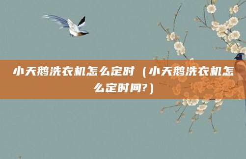 小天鹅洗衣机怎么定时（小天鹅洗衣机怎么定时间?）