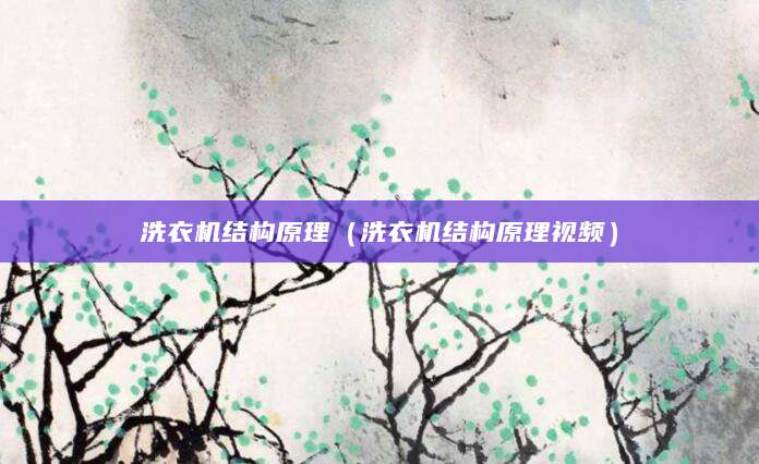 洗衣机结构原理（洗衣机结构原理视频）