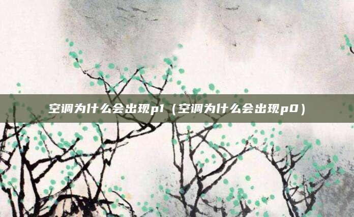 空调为什么会出现p1（空调为什么会出现p0）