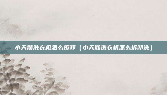 小天鹅洗衣机怎么拆卸（小天鹅洗衣机怎么拆卸洗）