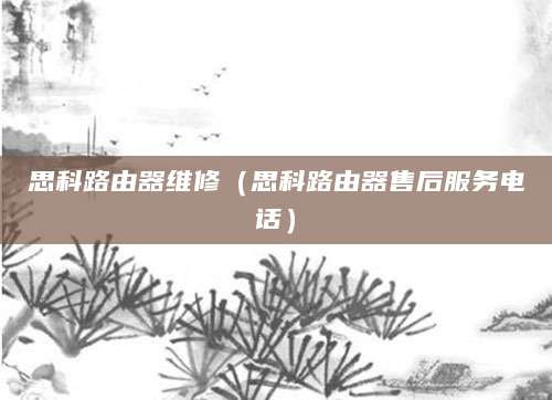 思科路由器维修（思科路由器售后服务电话）