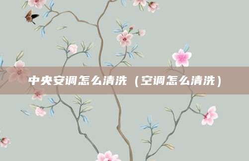 中央安调怎么清洗（空调怎么清洗）