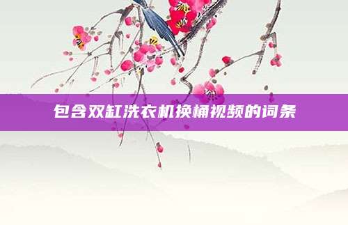包含双缸洗衣机换桶视频的词条