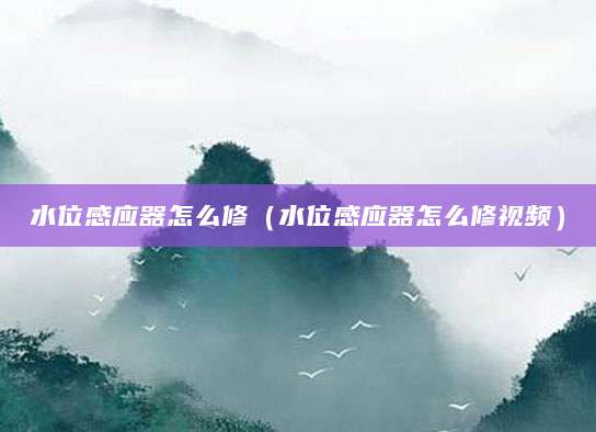 水位感应器怎么修（水位感应器怎么修视频）
