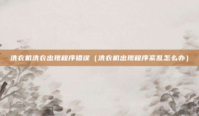 洗衣机洗衣出现程序错误（洗衣机出现程序紊乱怎么办）