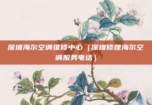 深圳海尔空调维修中心（深圳修理海尔空调服务电话）