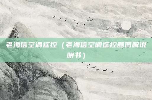 老海信空调遥控(老海信空调遥控器图解说明书)