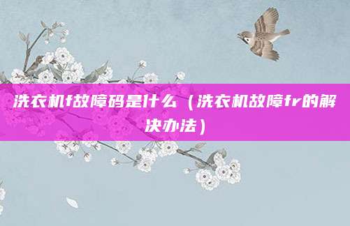 洗衣机f故障码是什么(洗衣机故障fr的解决办法)