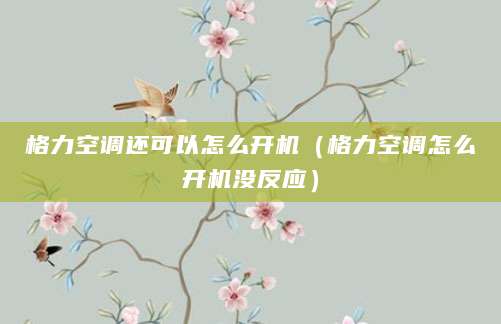 格力空调还可以怎么开机(格力空调怎么开机没反应)