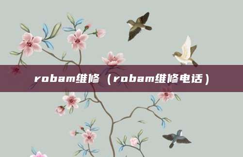 robam维修（robam维修电话）
