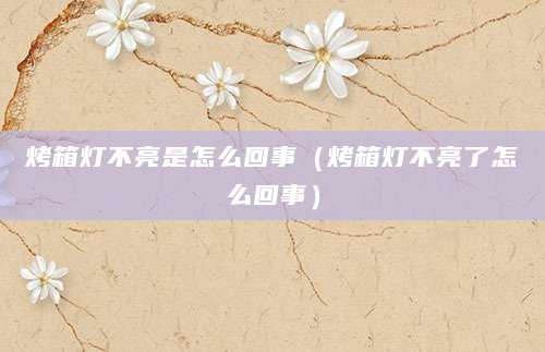 烤箱灯不亮是怎么回事（烤箱灯不亮了怎么回事）