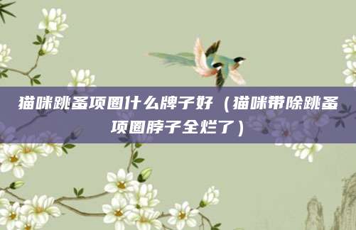 猫咪跳蚤项圈什么牌子好（猫咪带除跳蚤项圈脖子全烂了）