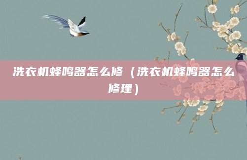 洗衣机蜂鸣器怎么修（洗衣机蜂鸣器怎么修理）
