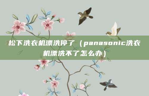 松下洗衣机漂洗停了（panasonic洗衣机漂洗不了怎么办）