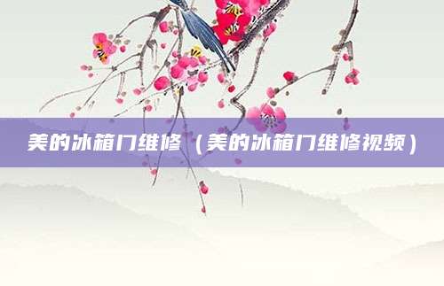 美的冰箱门维修（美的冰箱门维修视频）