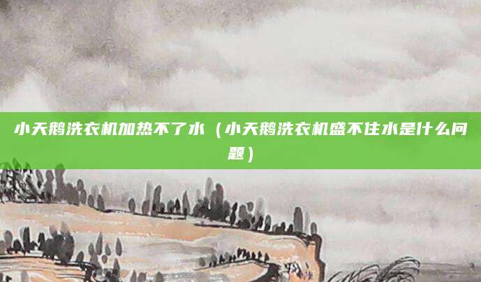 小天鹅洗衣机加热不了水（小天鹅洗衣机盛不住水是什么问题）
